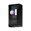 WS1.webp